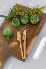 Brass Cheese Knife