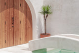 Yucca Landscape Door Bali Poster
