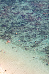 photograph by sheila man of people swimming in the ocean