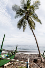 photograph of tejakula beach with fishing boat and palm tree