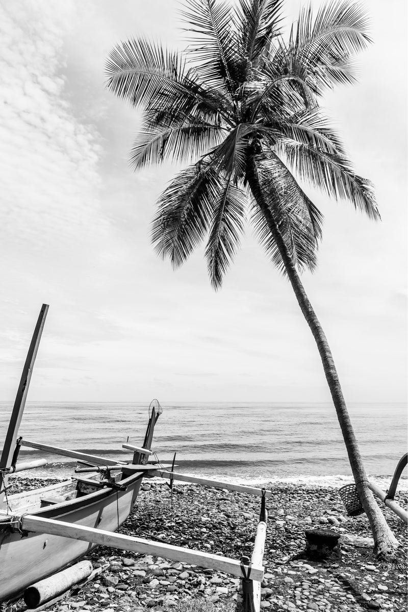 black and white photograph of tejakula beach with palm tree and fishing boat